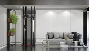 Nibav Home Elevator
