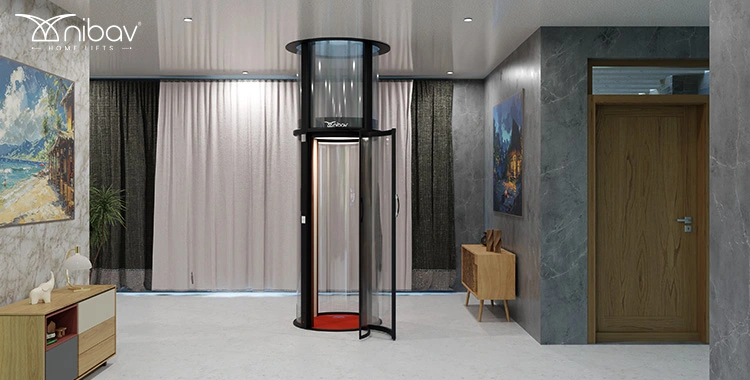 vacuum home lifts